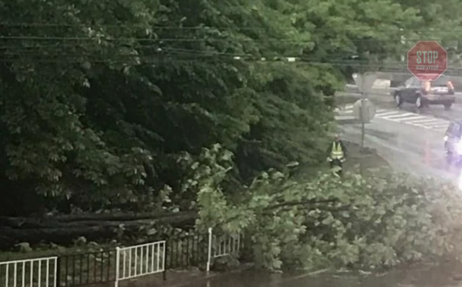 Фото: Варта1