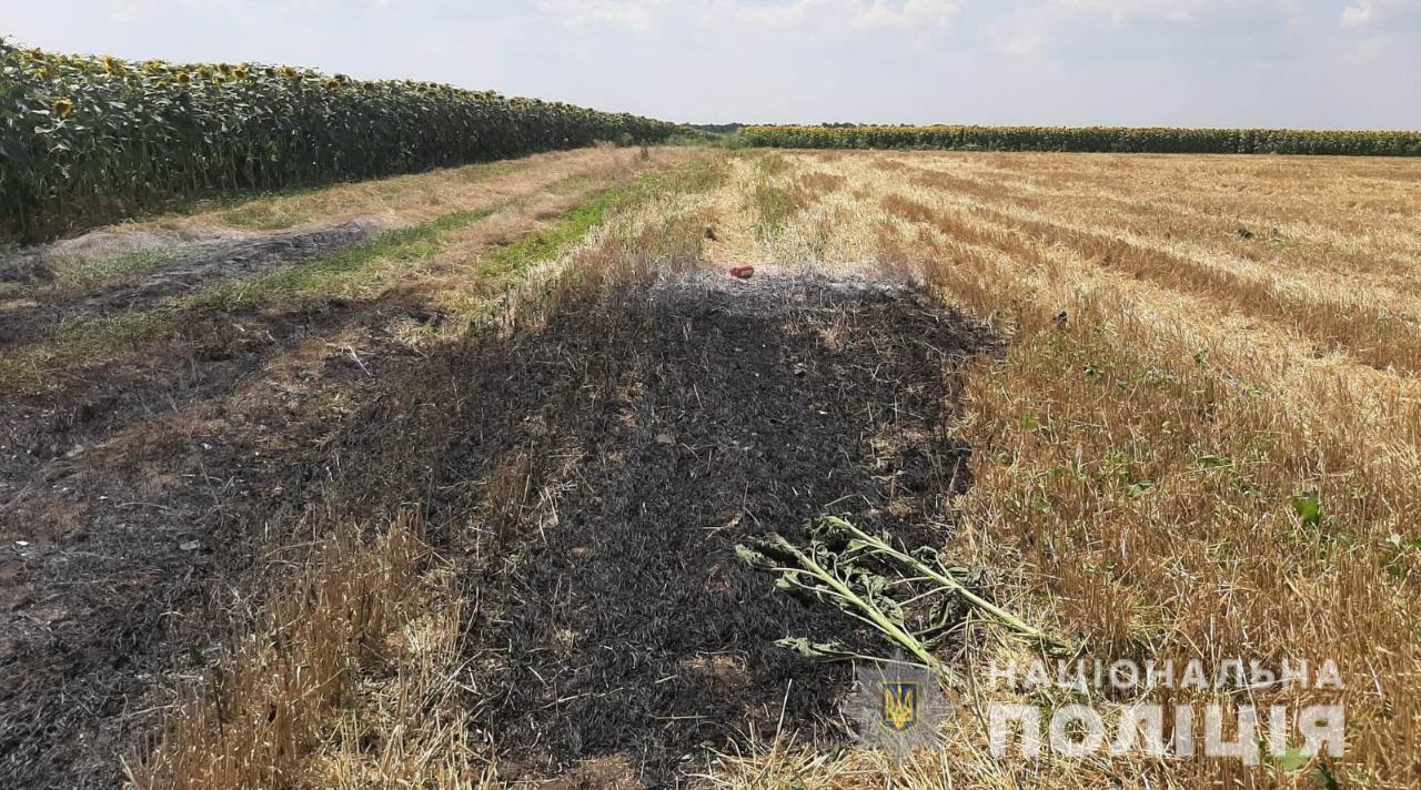 Поліцейські розслідують обставини пожежі на пшеничному полі в Подільському районі
