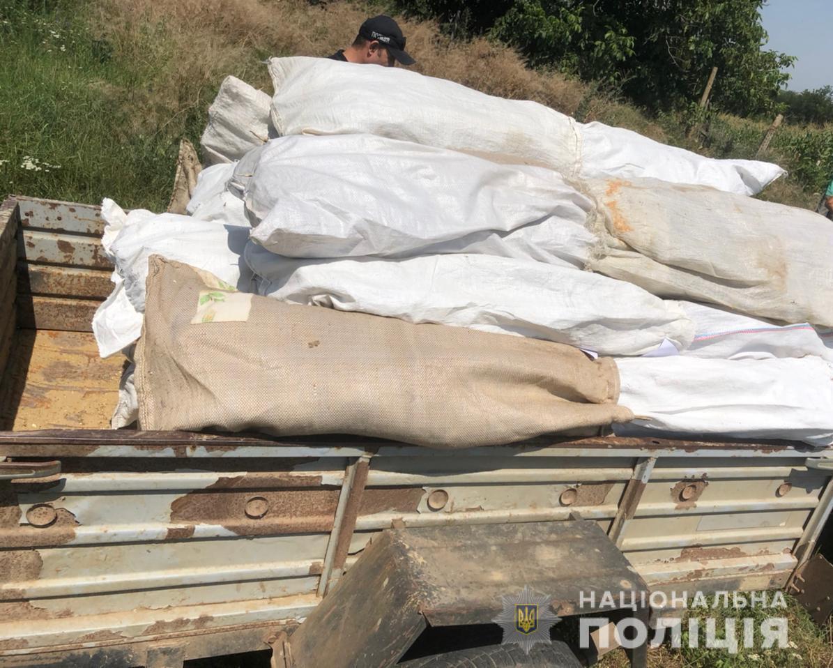 На Одещині поліцейські викрили двох громадян у незаконному вирощуванні снодійного маку та конопель