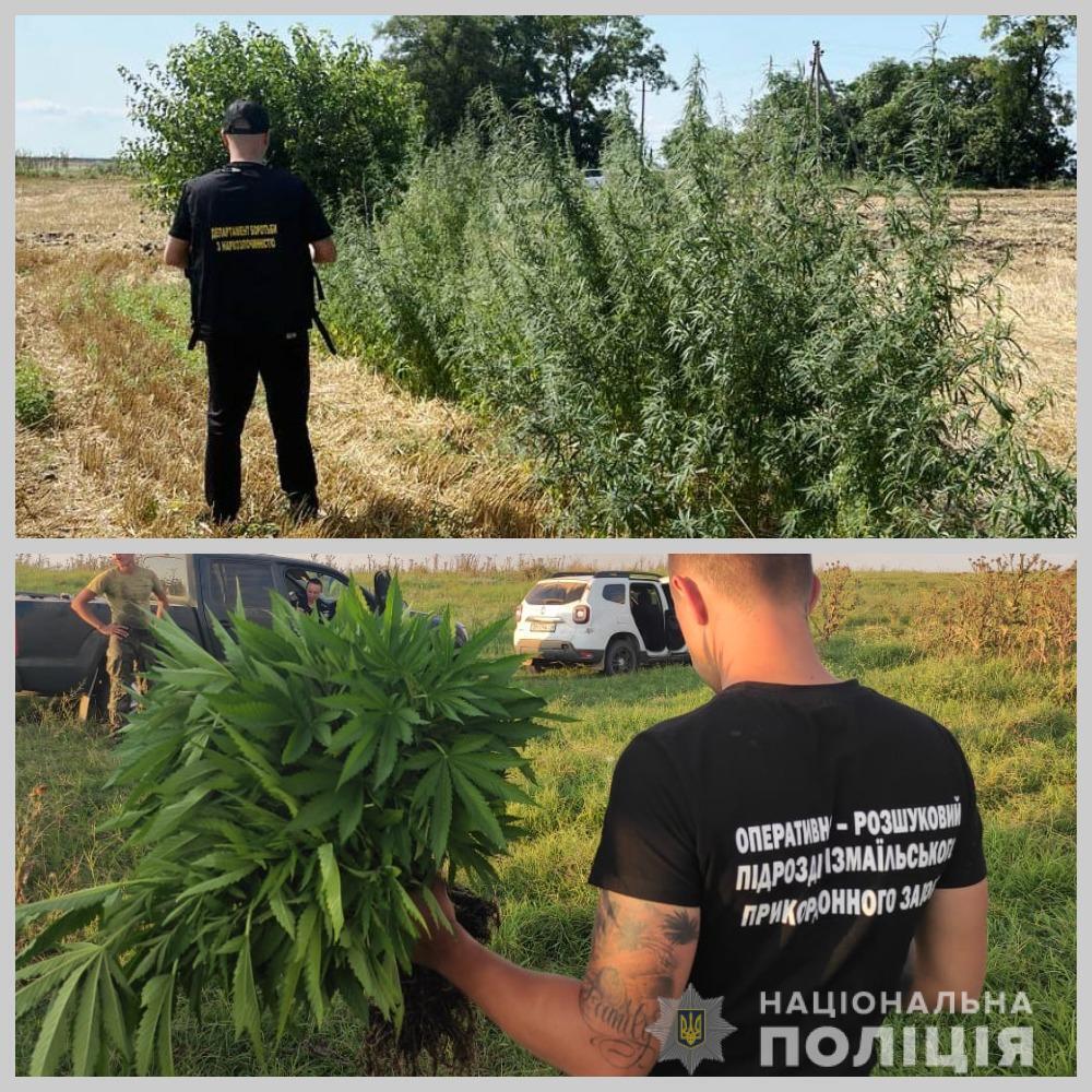 Правоохоронці Одещини викрили п’ятьох жителів Ізмаїльського району в протиправній діяльності, пов’язаній з обігом наркотичних засобів, боєприпасів та безакцизного товару