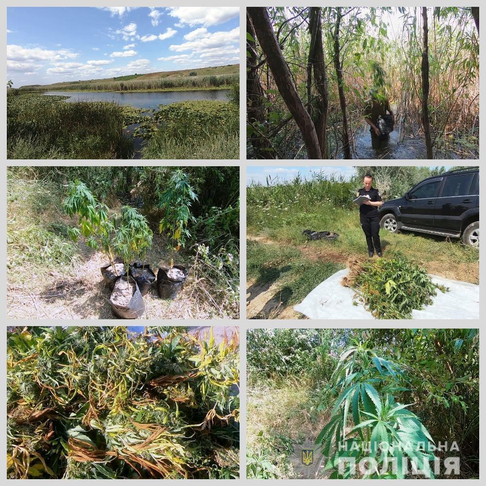 Правоохоронці Одещини викрили п’ятьох жителів Ізмаїльського району в протиправній діяльності, пов’язаній з обігом наркотичних засобів, боєприпасів та безакцизного товару