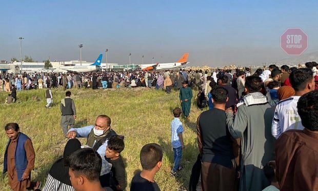  Фото: theguardian