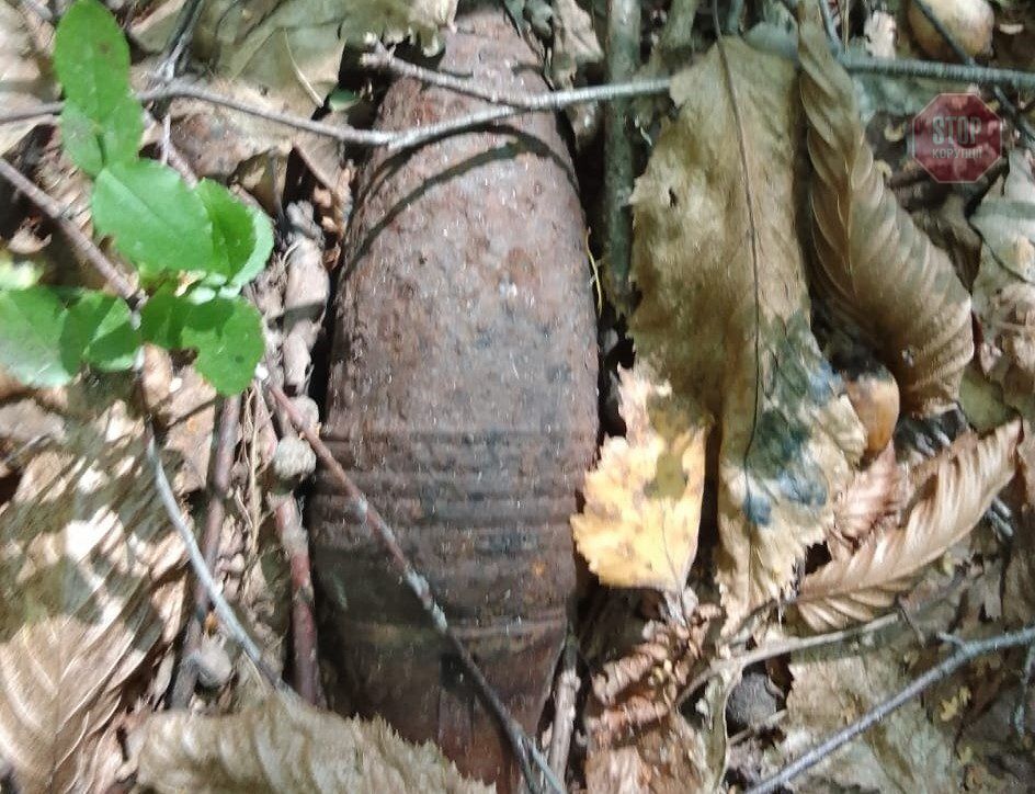  На Житомирщині знайдено міну у лісі Фото: СтопКор