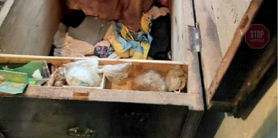  Під Волновахою знайшли скриню з тілами 10-річної дівчинки і 7-річного хлопчика Фото: Нацполіція