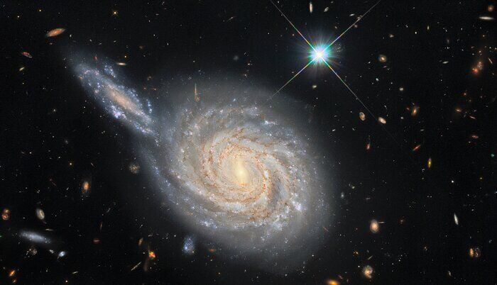 Фото: ESA/Hubble & NASA, D. Jones, A. Riess et al. 