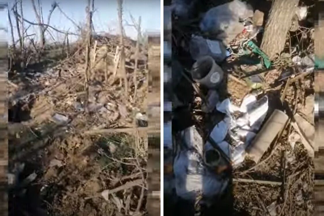 Деревья, разбитые украинскими снарядами