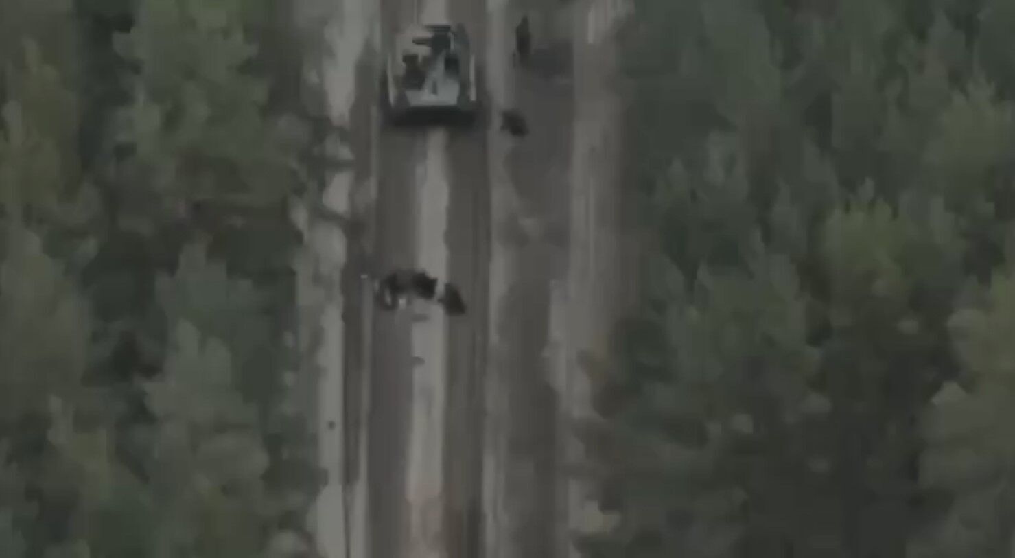 Бійці ССО показали спецоперацію біля Кремінної: знищення патруля армії рф (відео)