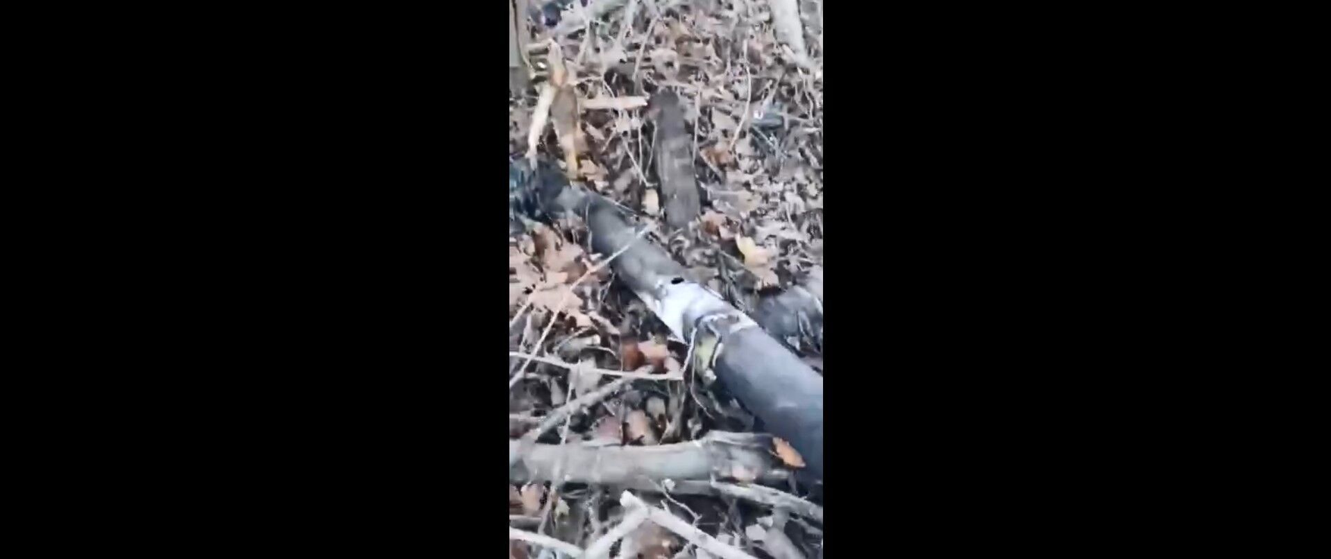 ЗСУ показали знищену артилерію рф на Луганщині (відео)