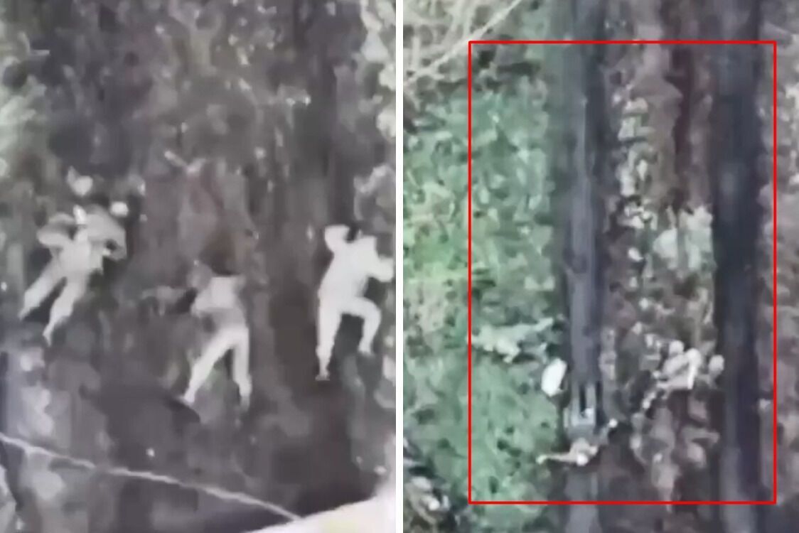 Бійці ЗСУ показали кадри з-під Павлівки та Вугледару: просування рф – на 5 метрів (відео)