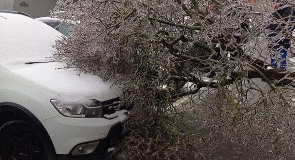 Негода на Львівщині: у місті Лева не курсує електротранспорт, падають дерева та замело дороги (фото)