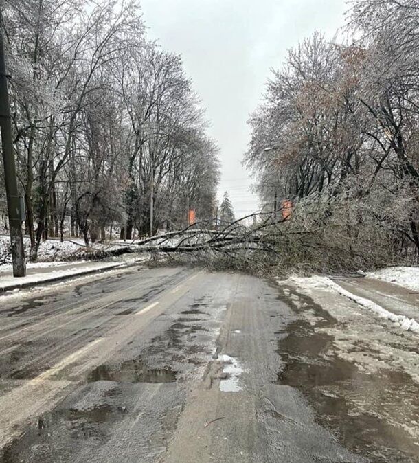 Непогода во Львовской области: в городе Льва не курсирует электротранспорт, падают деревья и замело дороги (фото)