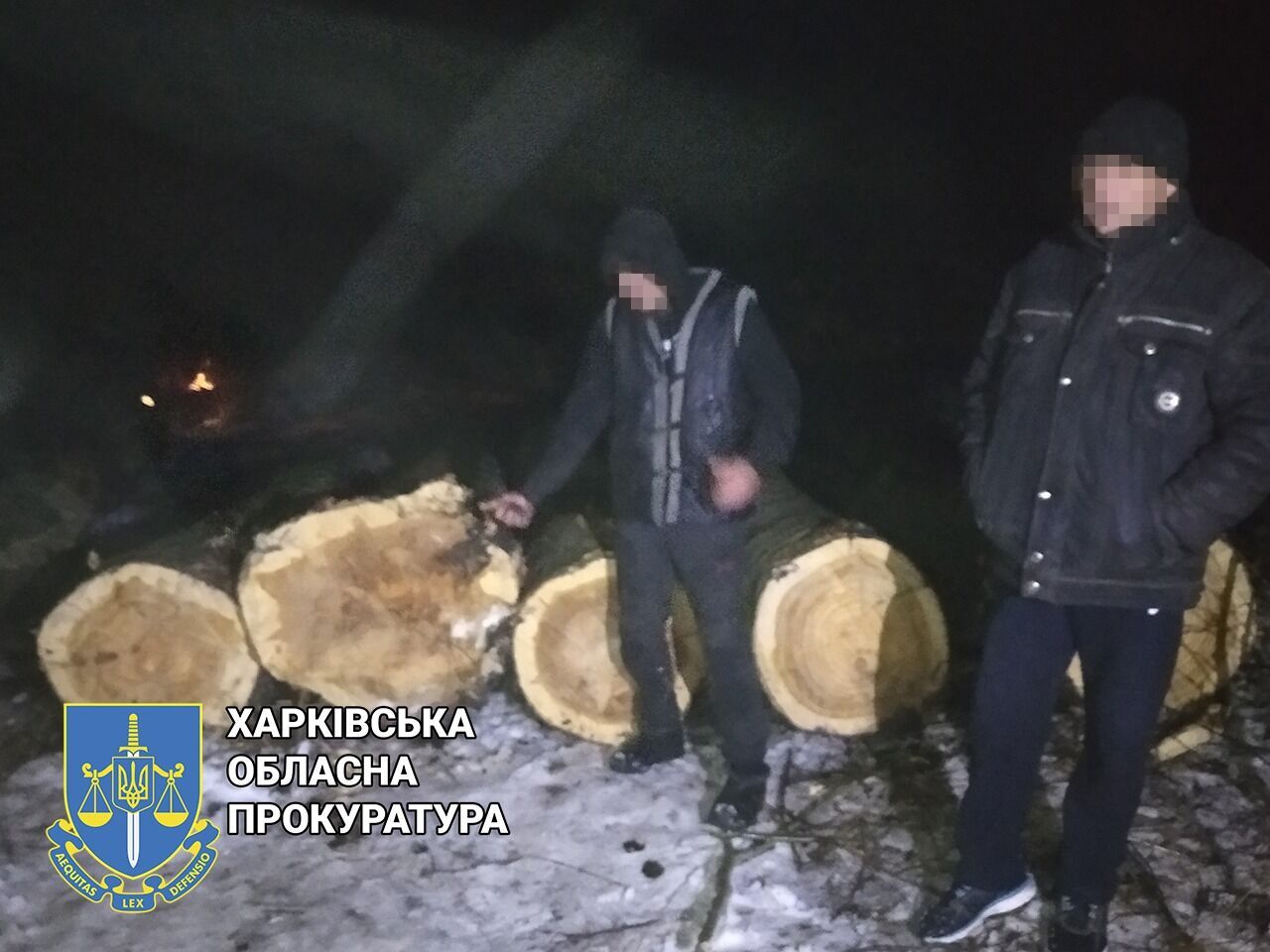 Незаконна порубка дерев на Харківщині — підозрюються двоє чоловіків (ФОТО)