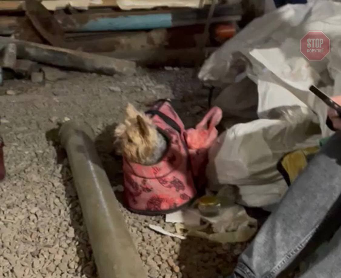  Запоріжжя. Фото: СтопКор