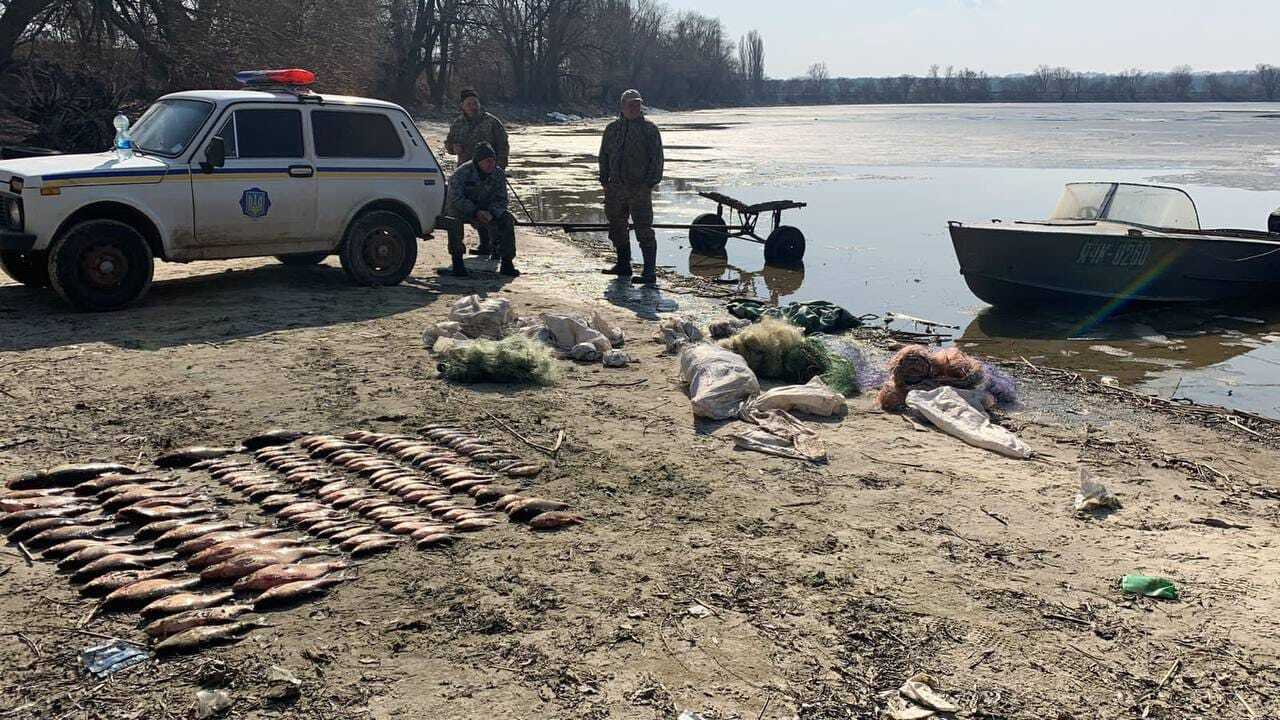 Риба поліцейська машина