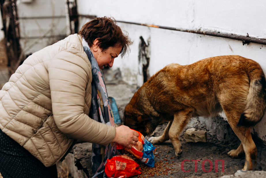 женщина кормит собаку