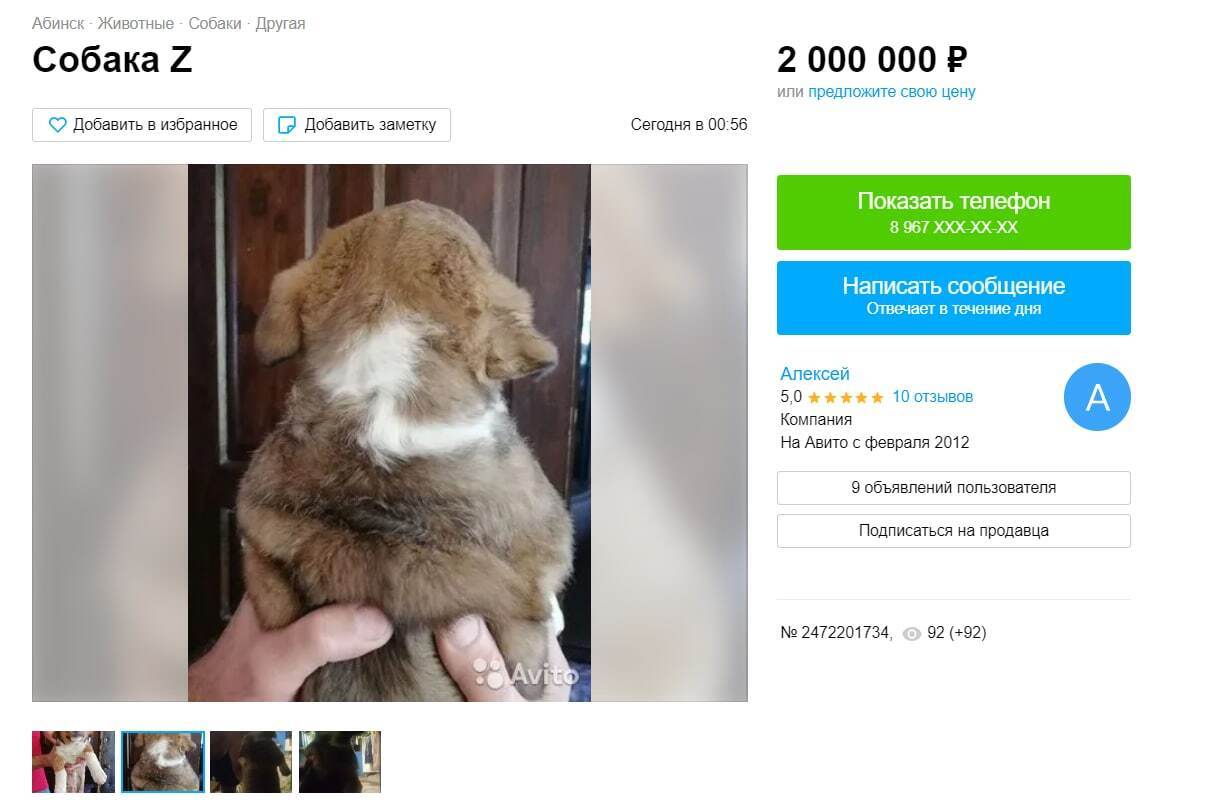 россияне продают животных с надписью z