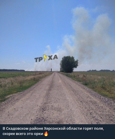 пожар возле Скадовска 