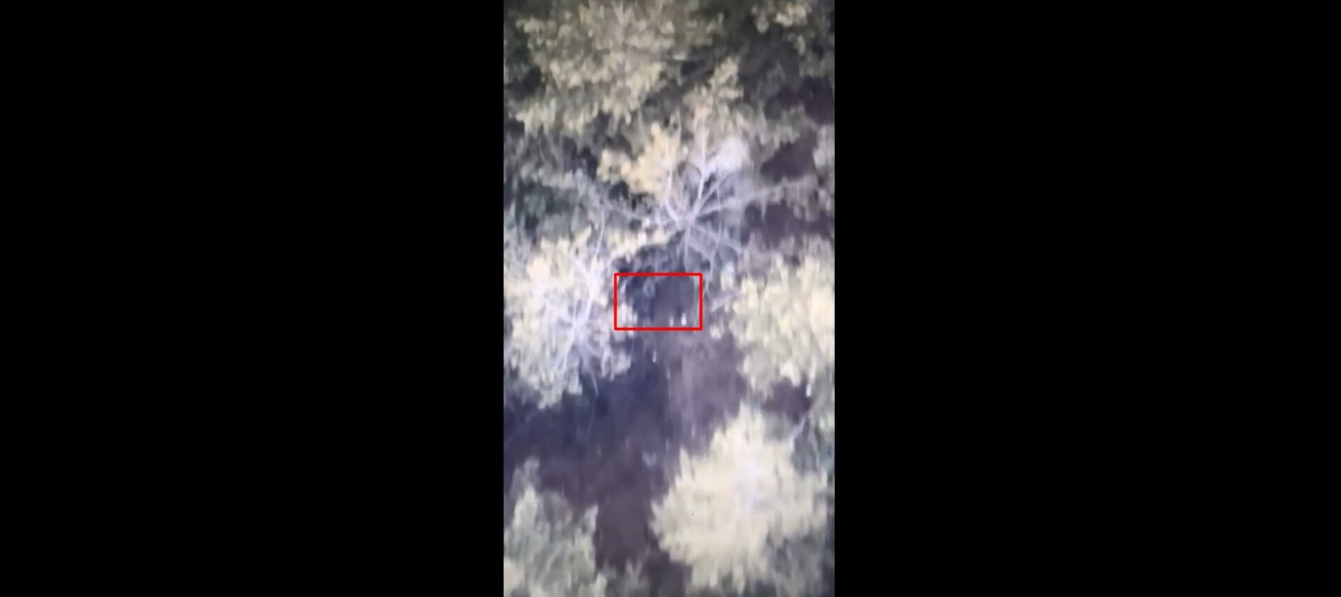Боєць ЗСУ показав ''полювання'' на снайпера армії рф під Бахмутом: відео від ''Мадяра''