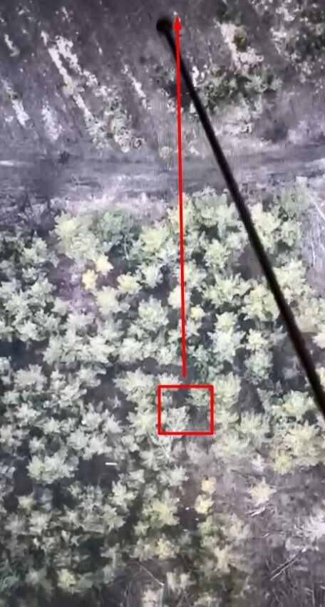 Боец ВСУ показал ''охоту'' на снайпера армии рф под Бахмутом: видео от ''Мадяра''