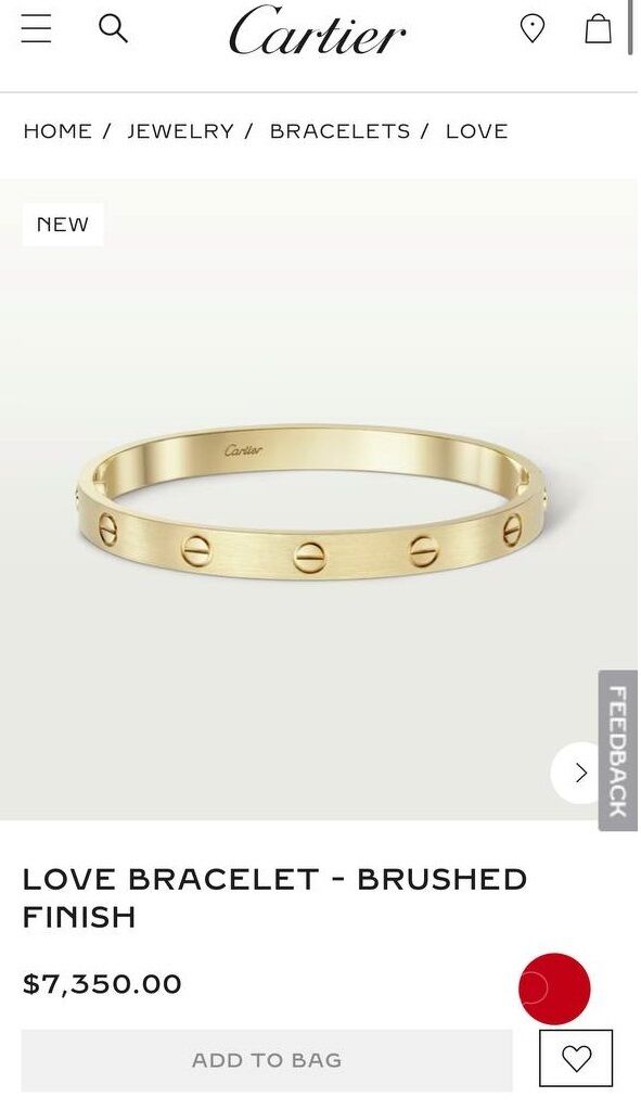 Горняк засветила браслет немалой стоимостью