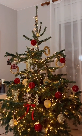 ''Росіяни не відберуть у дітей свято'': Катя Осадча показала, як з синами прикрашає ялинку 