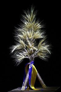 Традиції Святого вечора, після переходу на новоюліанський календар