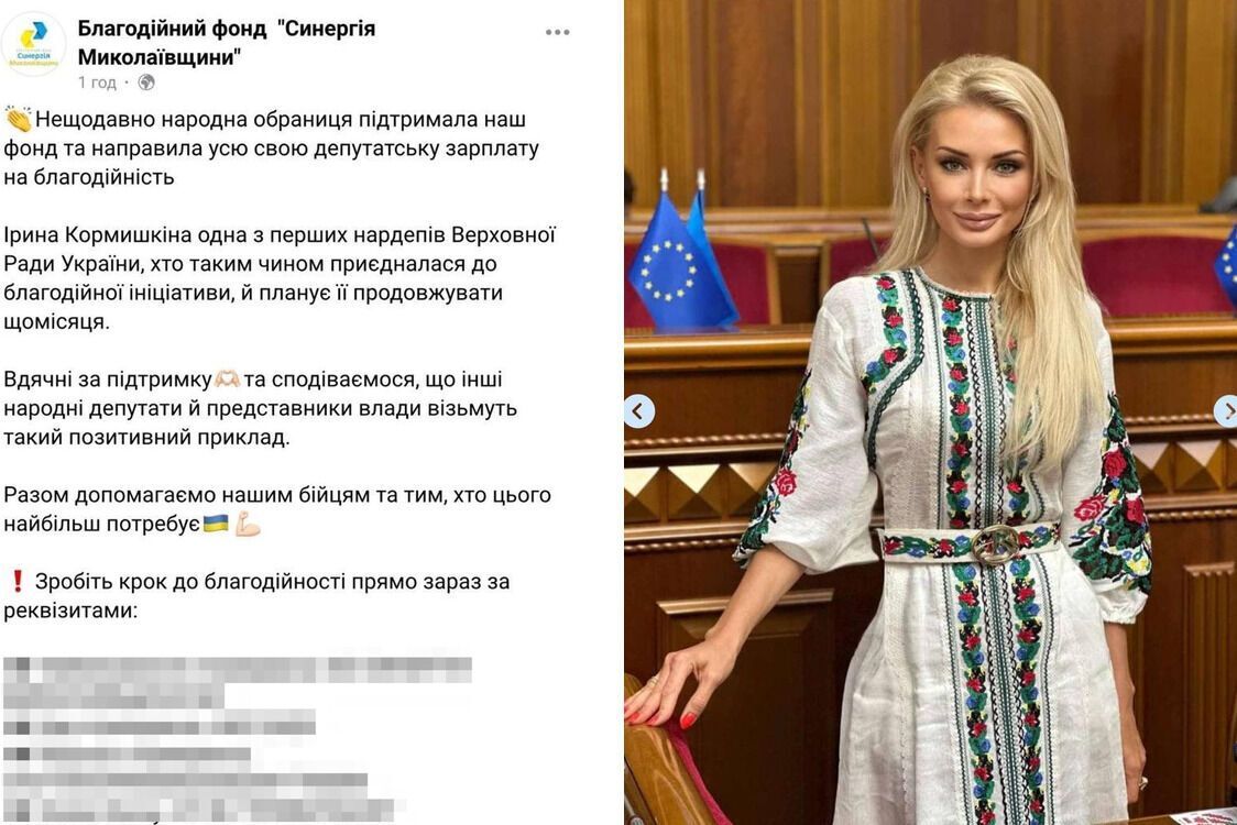 Нардепка Кормишкіна віддала депутатську зарплату на благодійність