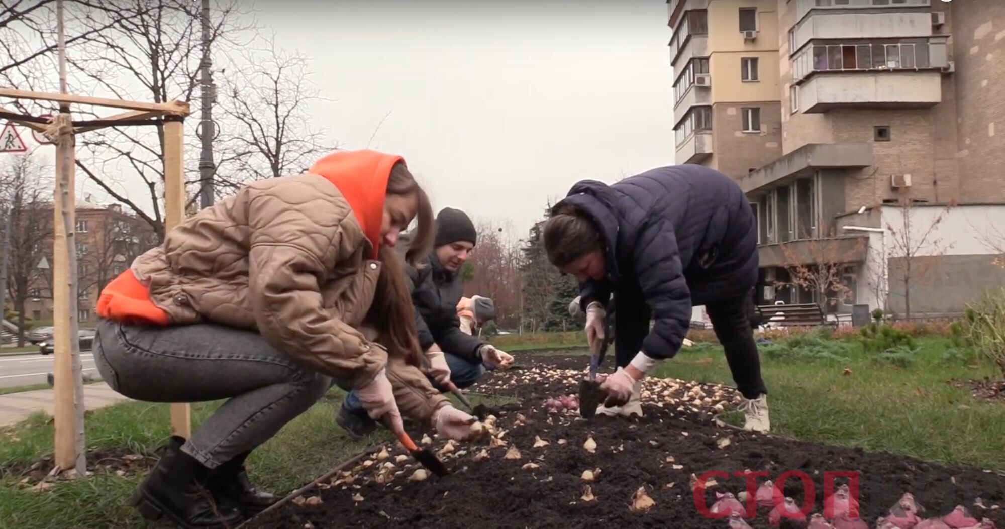 Кияни висадили понад 2,5 тисячі квітів у сквері на честь Шаповала