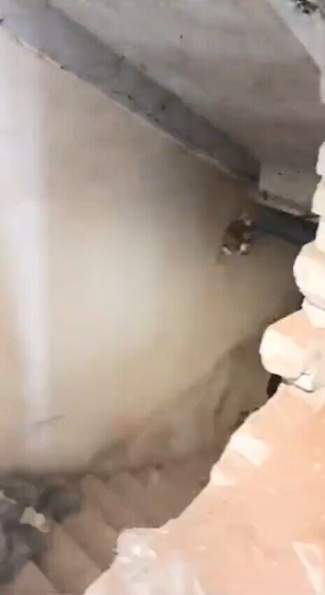 Угледар: ВСУ ударили по пункту управления армии рф - пробило 3 этажа (видео)