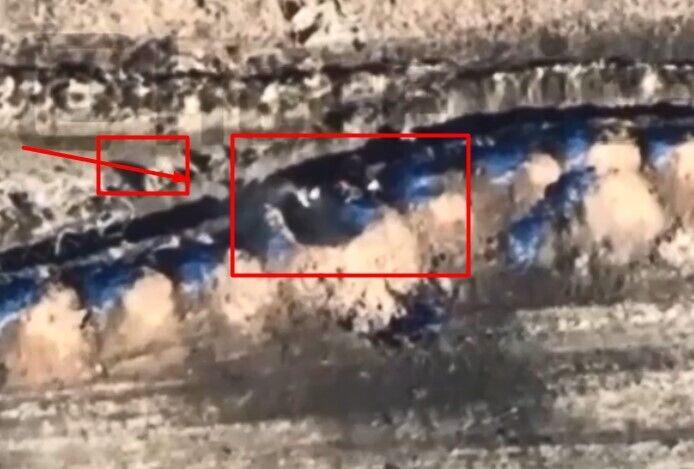Военные ВСУ ударили дроном Switchblade 300 по траншее армии рф: обломки влетели в лицо оккупанта (видео)