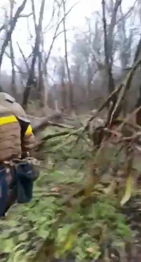 На Херсонщине ВСУ провели тайный рейд в тыл врага: подкрадывались по лесу (видео)