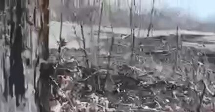 Бійці ЗСУ відбили атаку підрозділу рф, який обійшов з тилу українські позиції - Мисягін (відео)