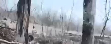 Бойцы ВСУ отбили атаку подразделения рф, обошедшего с тыла украинские позиции - Мисягин (видео)