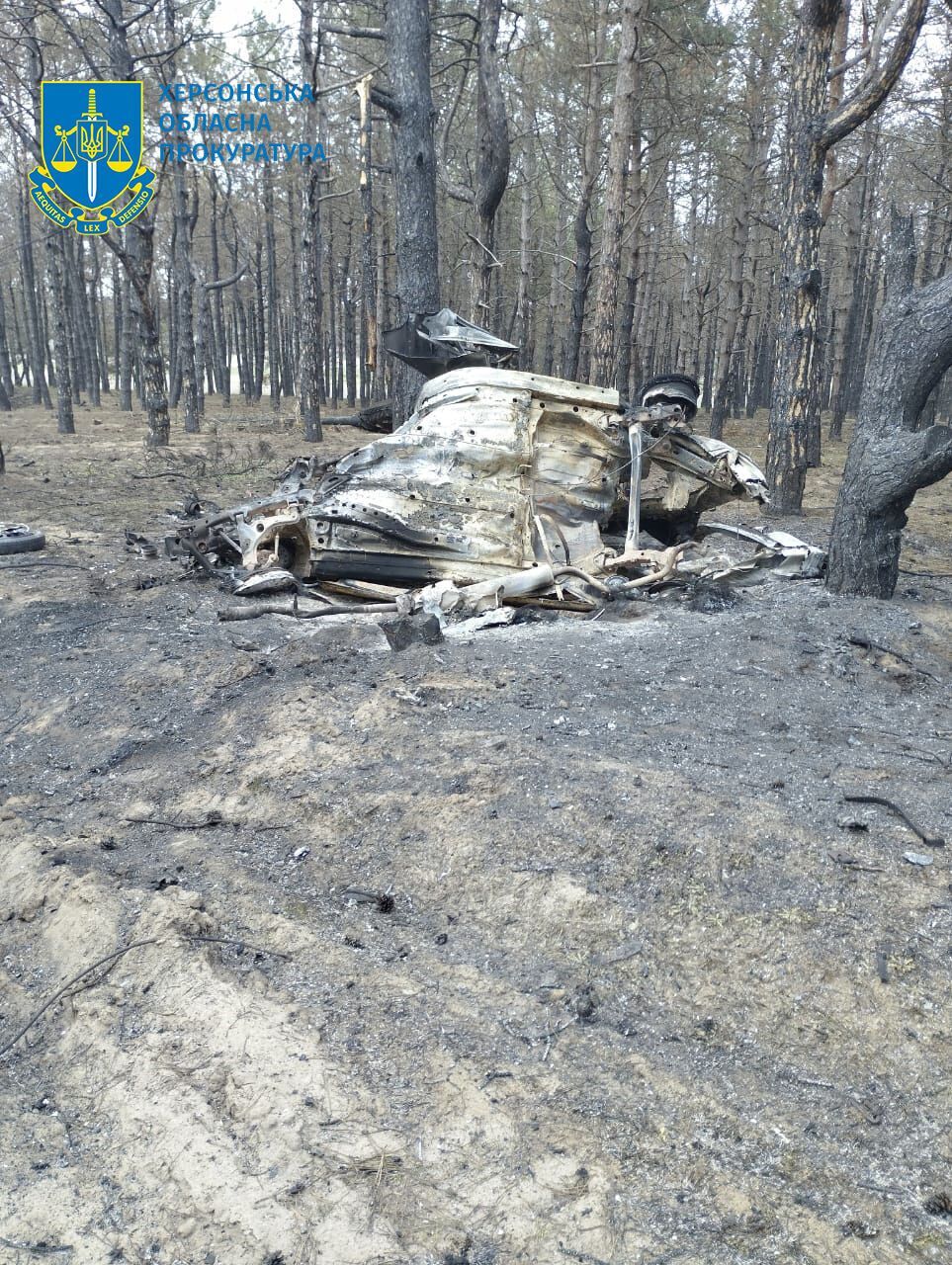 Остатки автомобиля, взорвавшегося на противотанковой мини в лесах Херсонщины