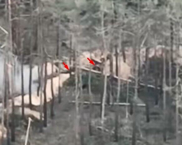 Солдати рф тікають траншеями у лісі під Кремінною на Луганщині