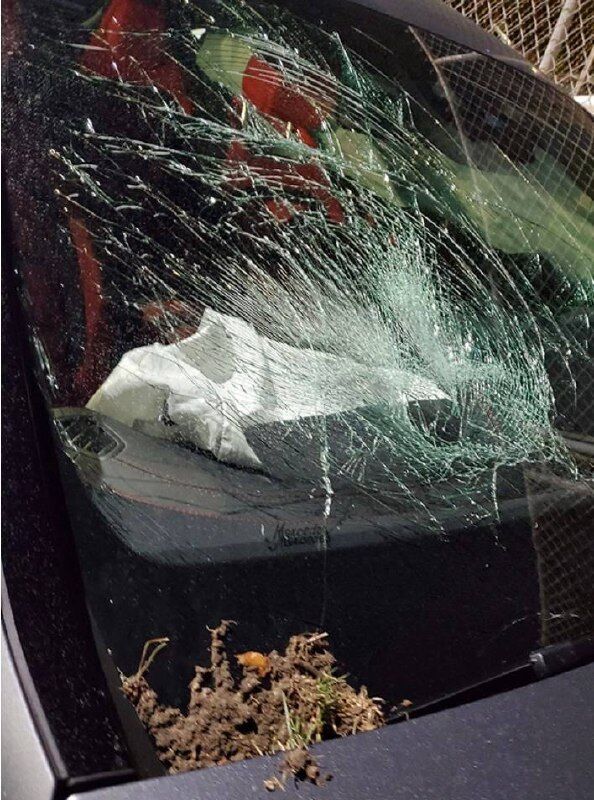 Актора Піта Девідсона звинувачують у необережному керуванні авто