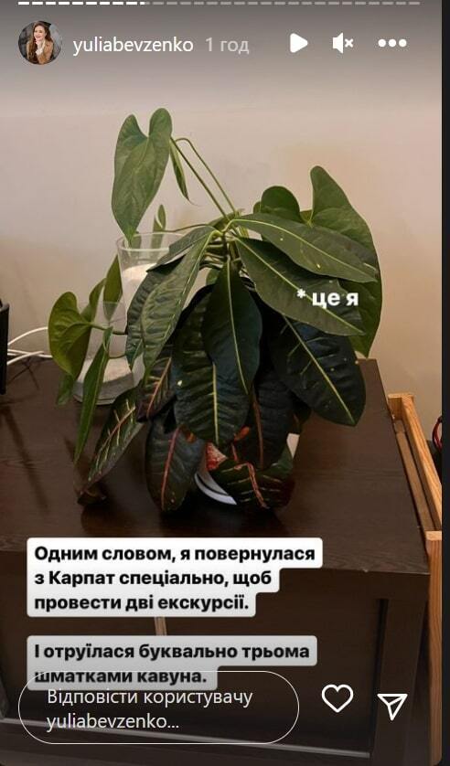 Юлія Бевзенко