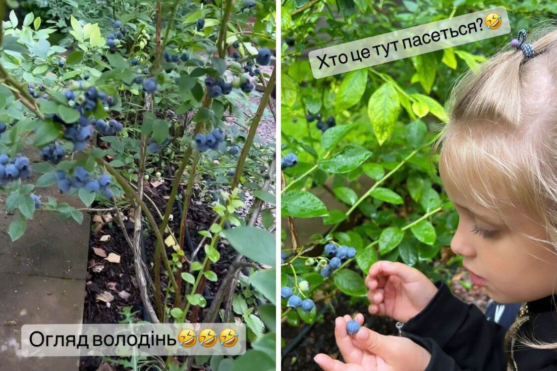 Лілія Ребрик дім