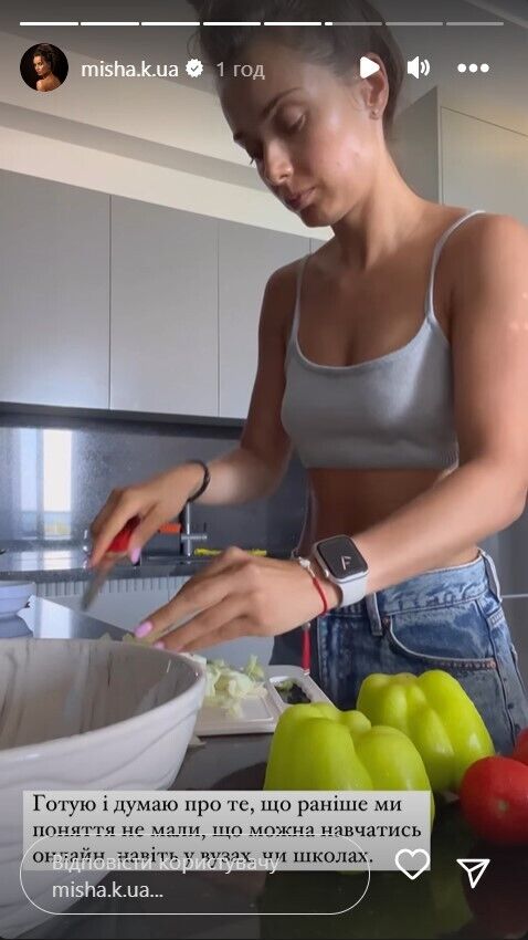 Акторка міркує над проблемами шкільного навчання сина Платона