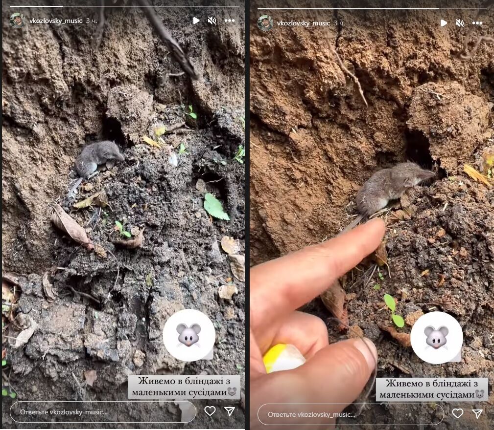 Виталий Козловский продемонстрировал своего сожителя в блиндаже