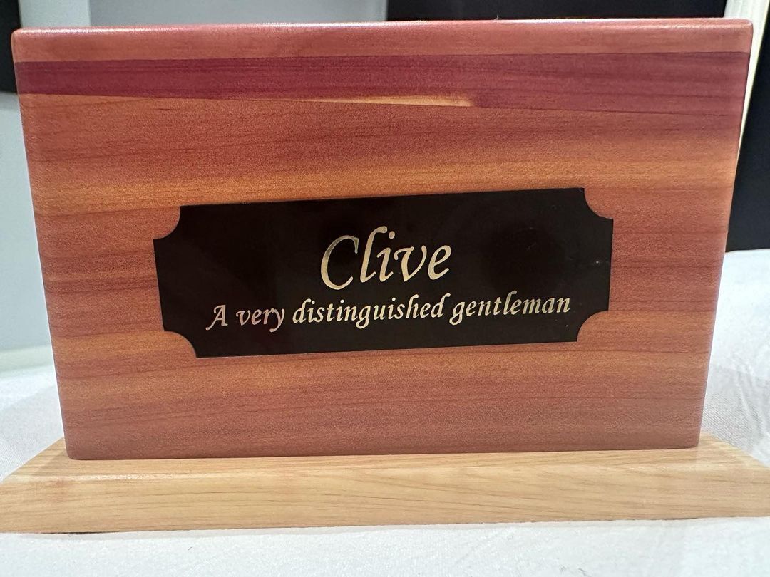 Кейт Бекінсейл