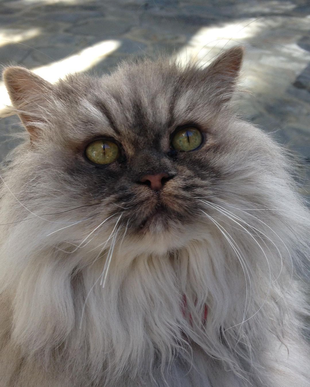 Кейт Бекінсейл