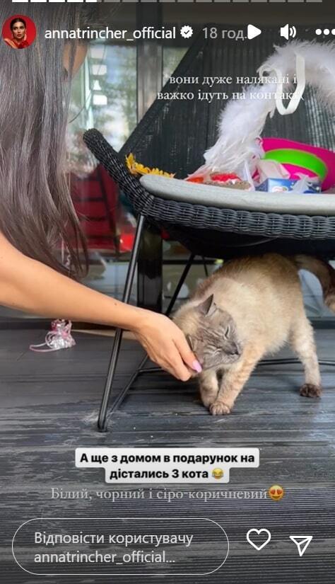 Анна Трінчер