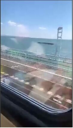 Над водой видны стоящие напротив опорных стоек моста бетонные сооружения.