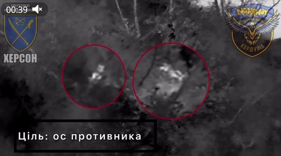Украинские бойцы из дрона ''засекли'' цель на одном из островов под Херсоном
