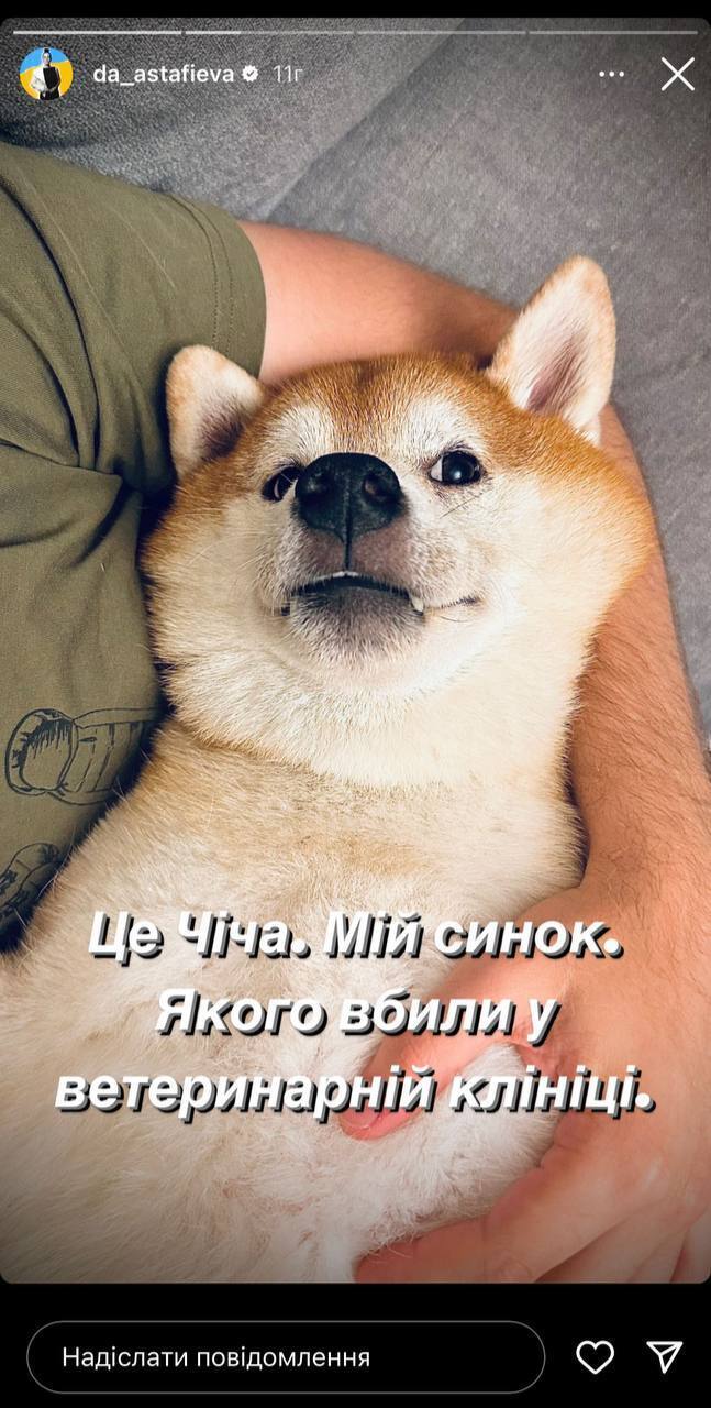 собака Даші Астаф'євої