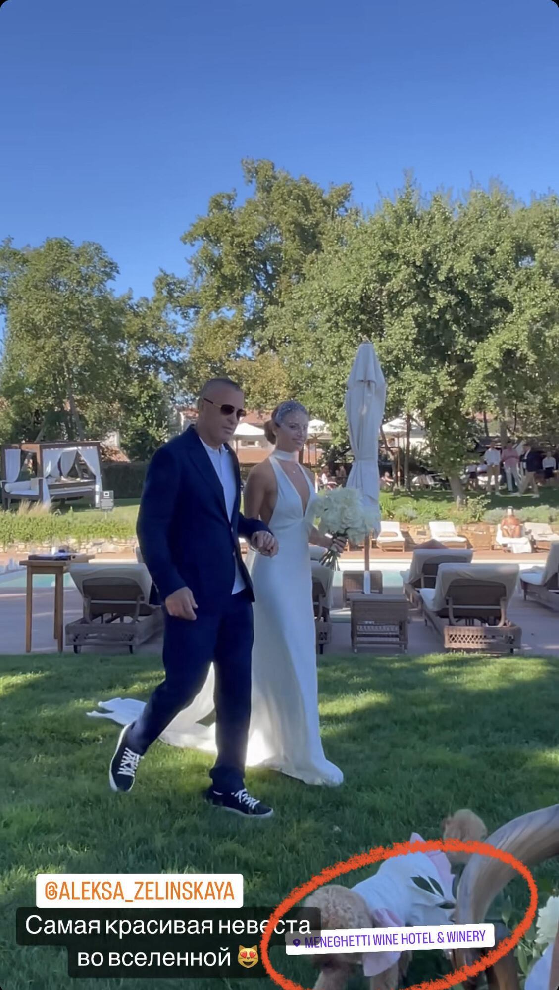 Весілля української нареченої у Хорватії, де ведучим був шоумен Остапчук