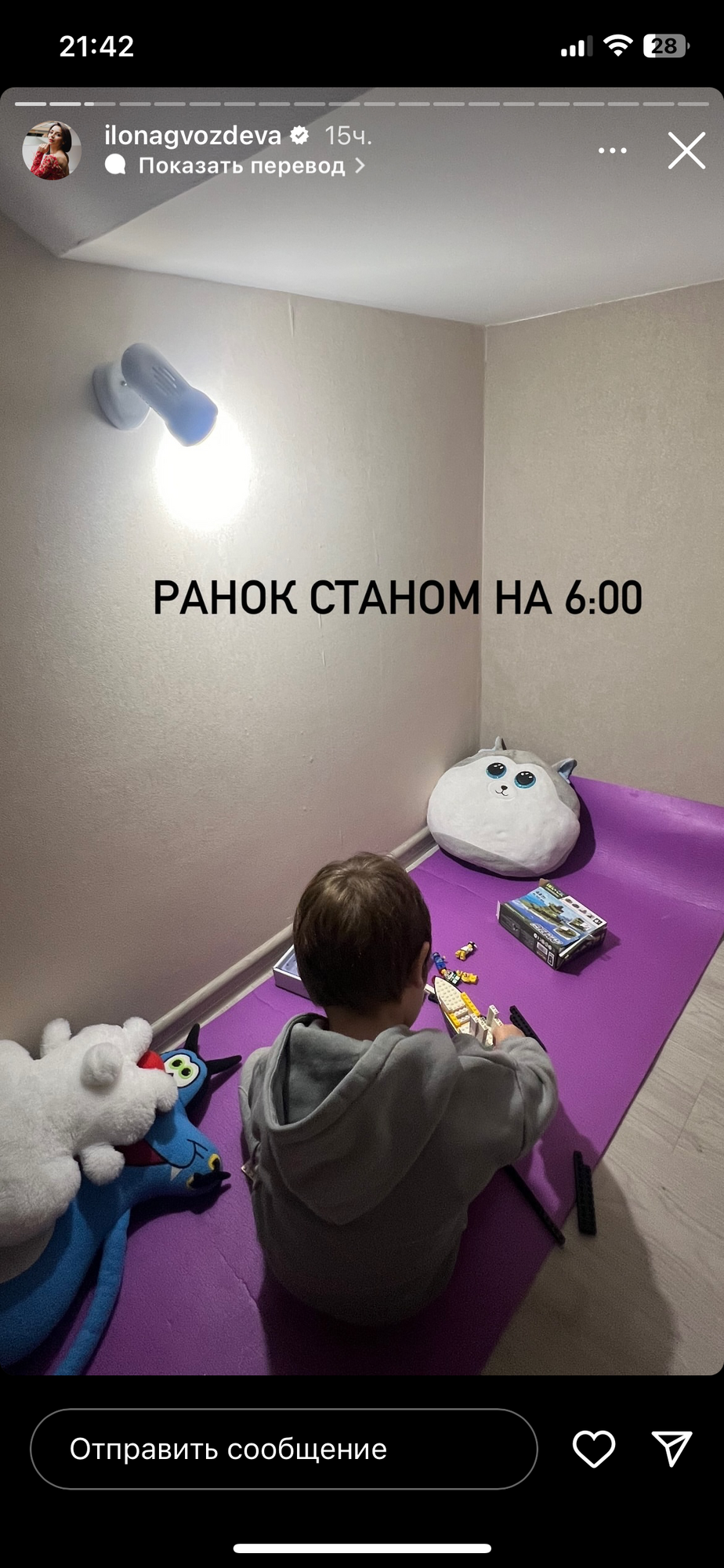 Ілона Гвоздєва показала, як російські окупанти пошкодили вікна в її заміському будинку (фото)