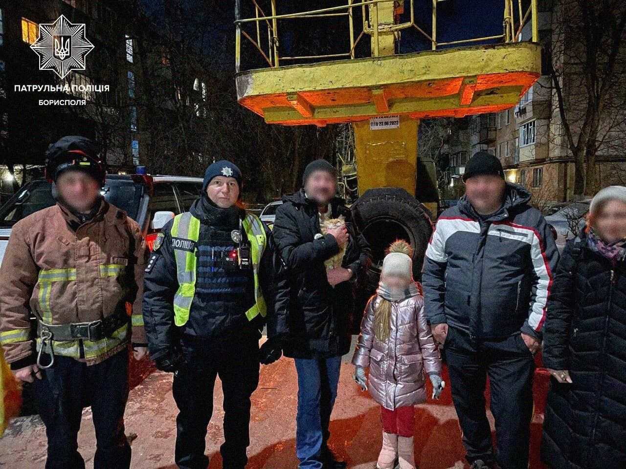 Кот на высоте 4-го этажа