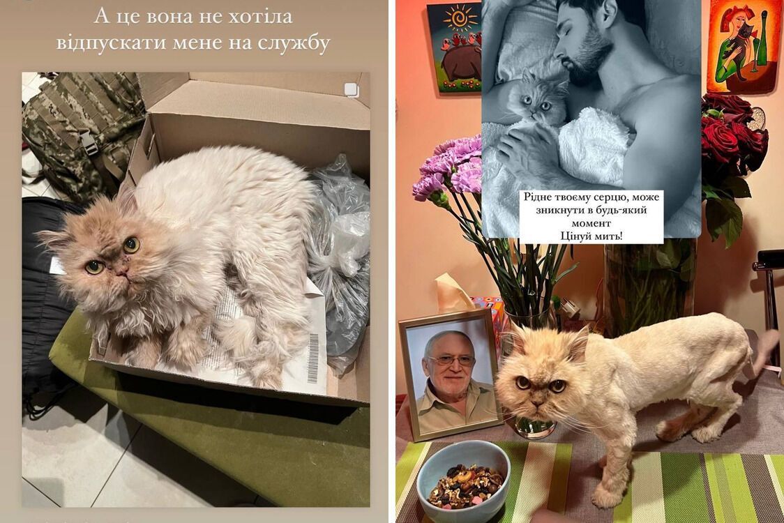 Кішка Віталія Козловського